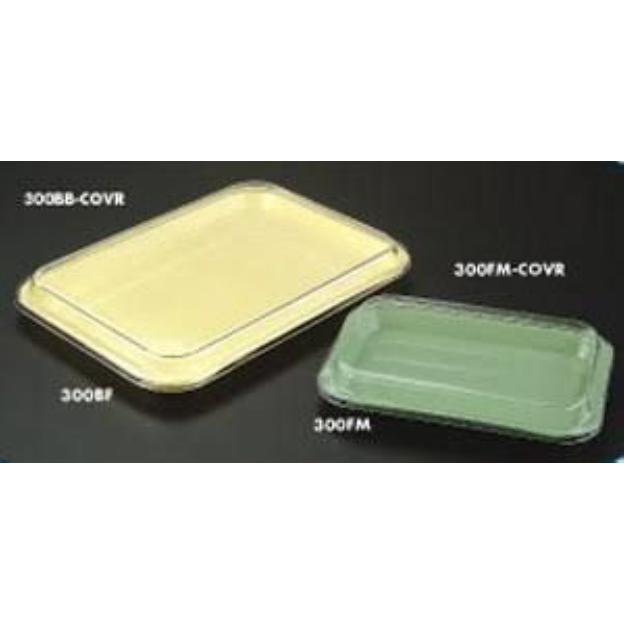 Plasdent - Clear Cover For Tray Size F, 300FM-COVR product image