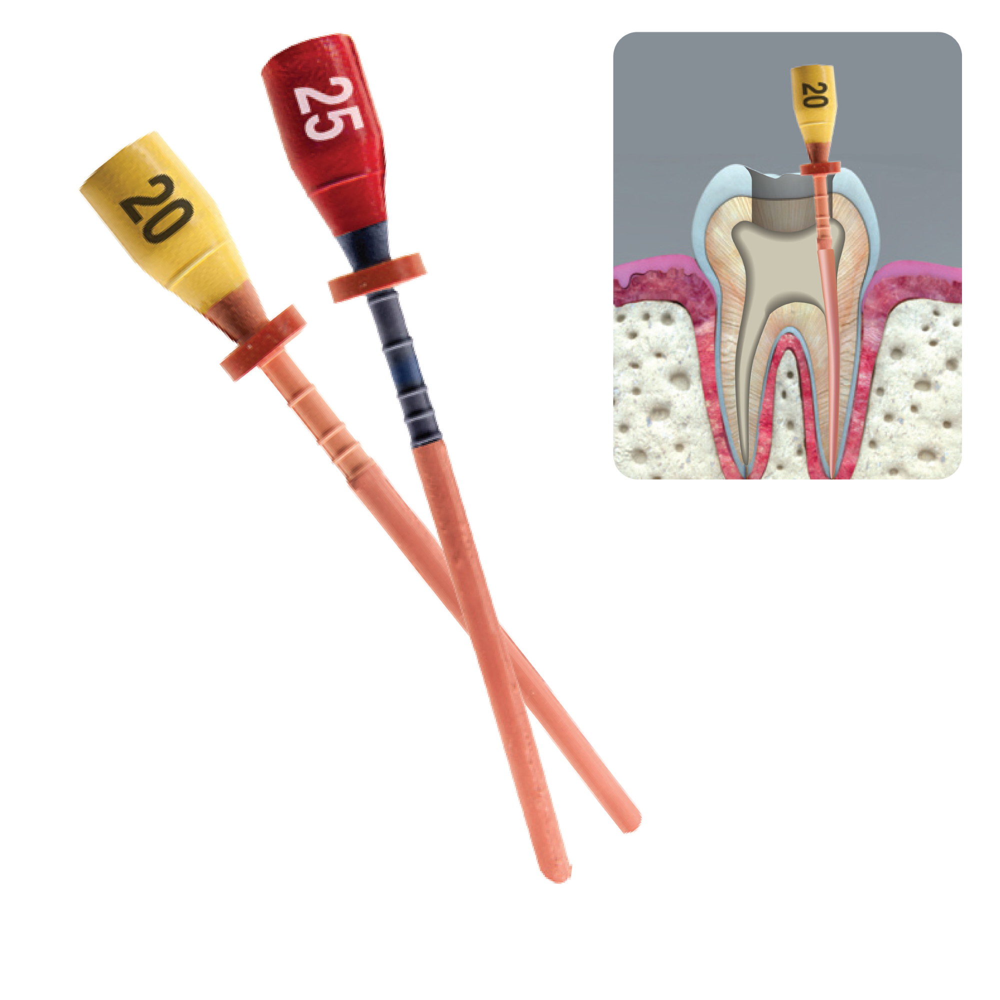 One File G Gutta Percha Obturators, with Verifier, # 40, Large, Black, 5/Pk, OOG-40 product image