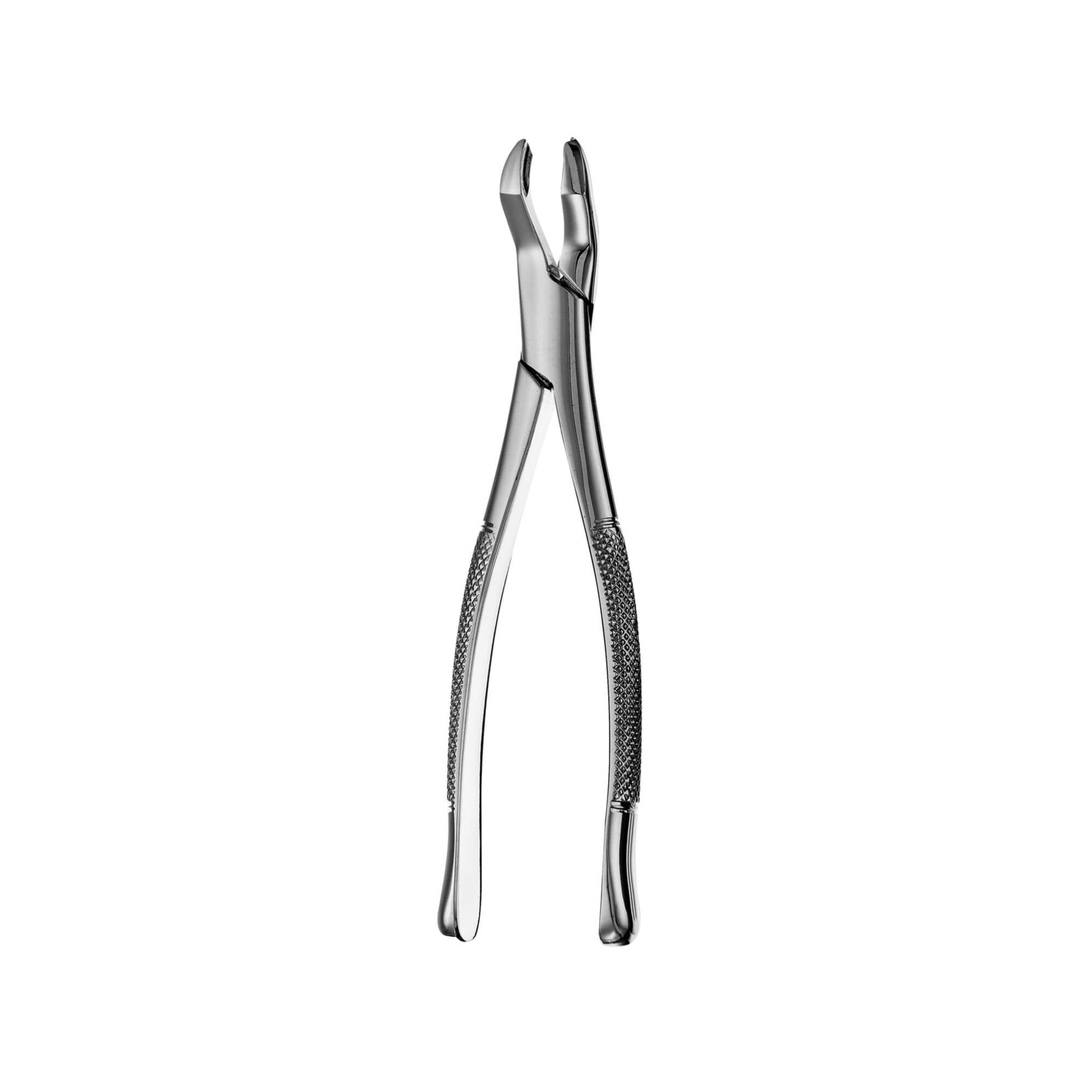 53R Forceps, F53R product image