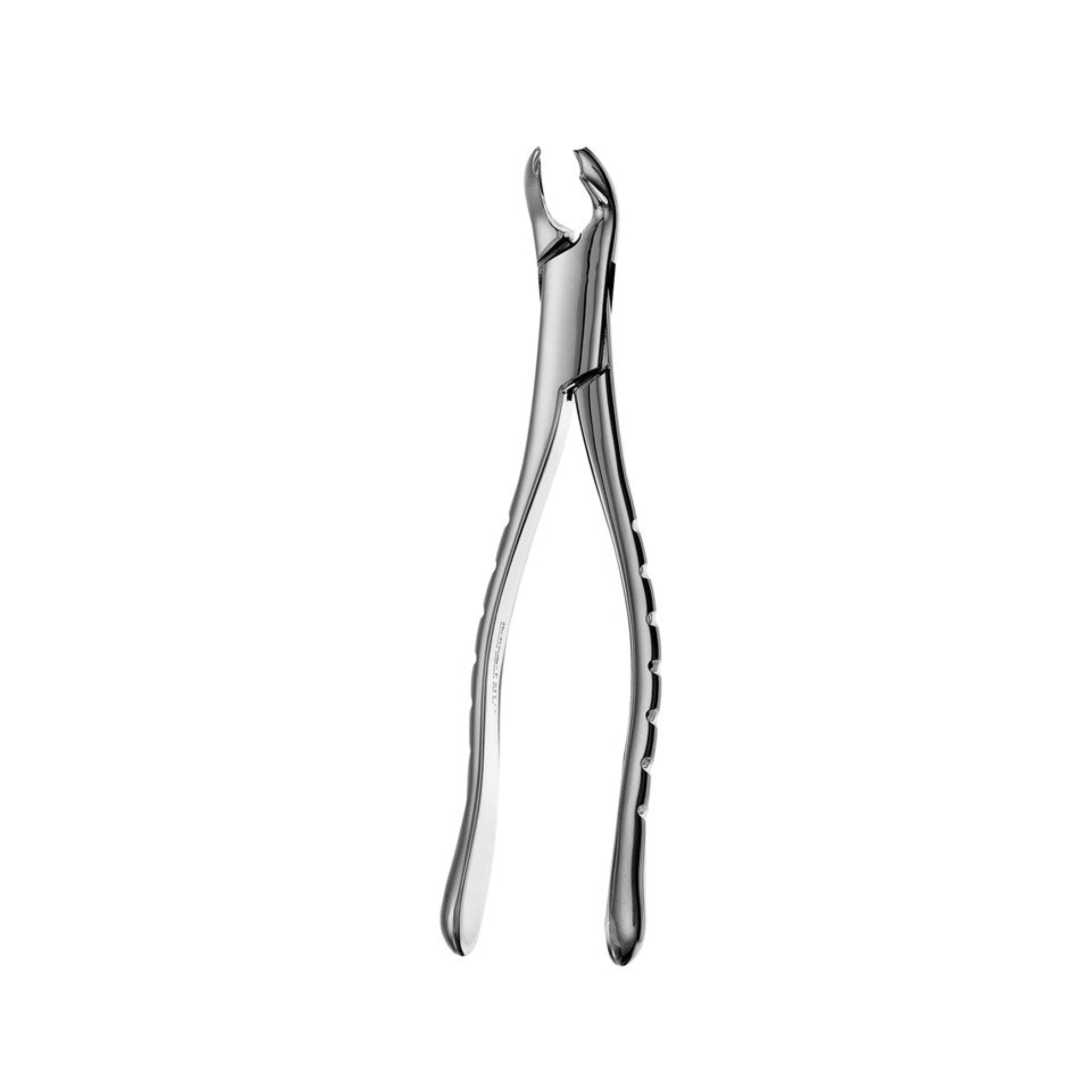 217 Lower Molars Extraction Forceps, EF15 thumbnail 2