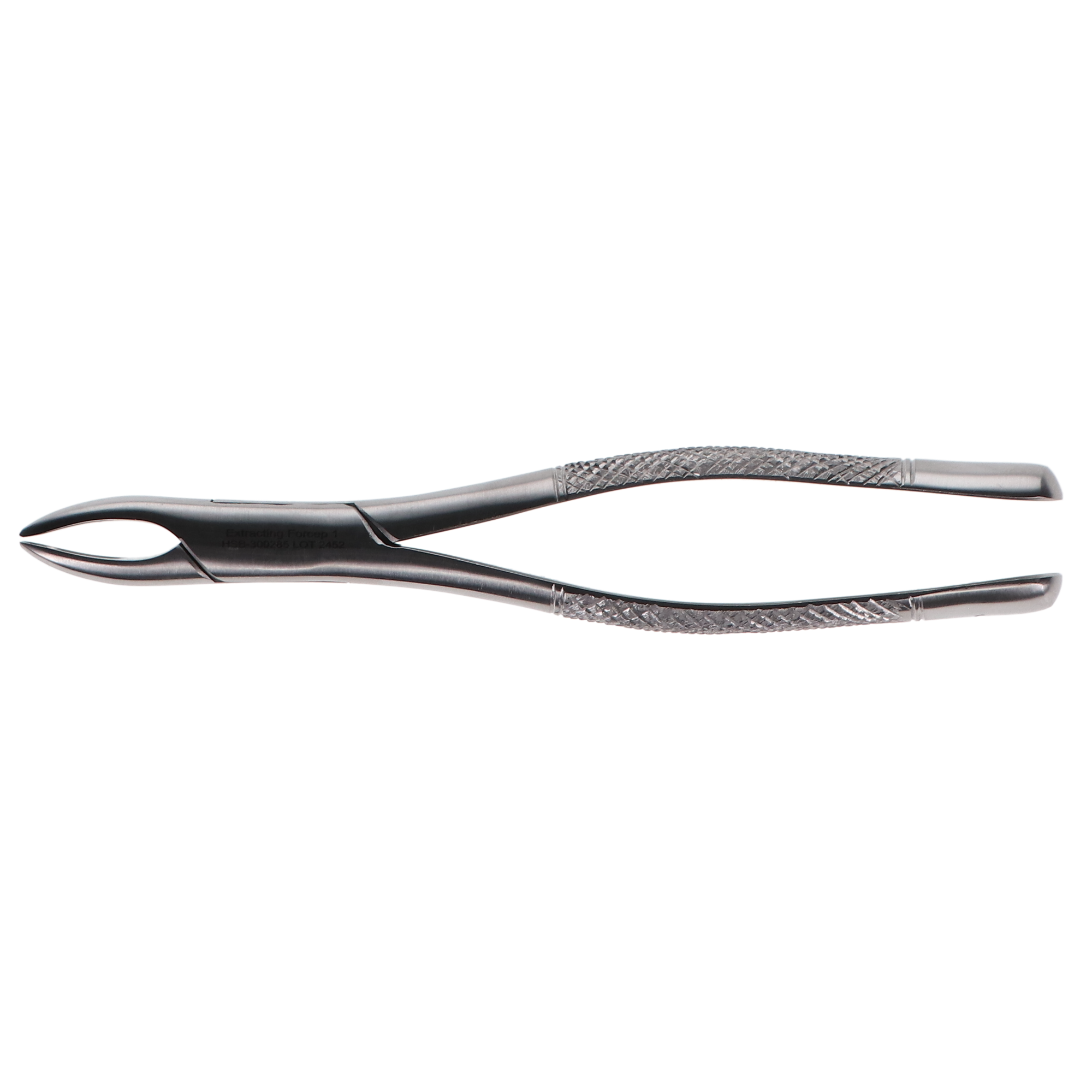 Extracting Forceps #1 Standard, 300285 product image
