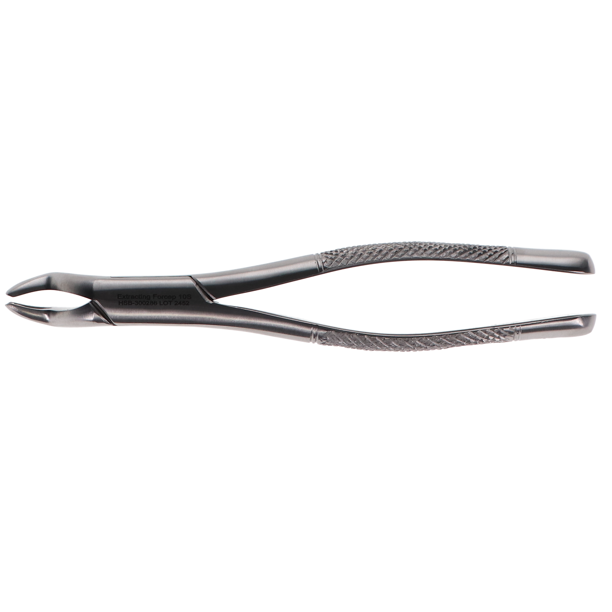 Extracting Forceps #10S, 300286 product image