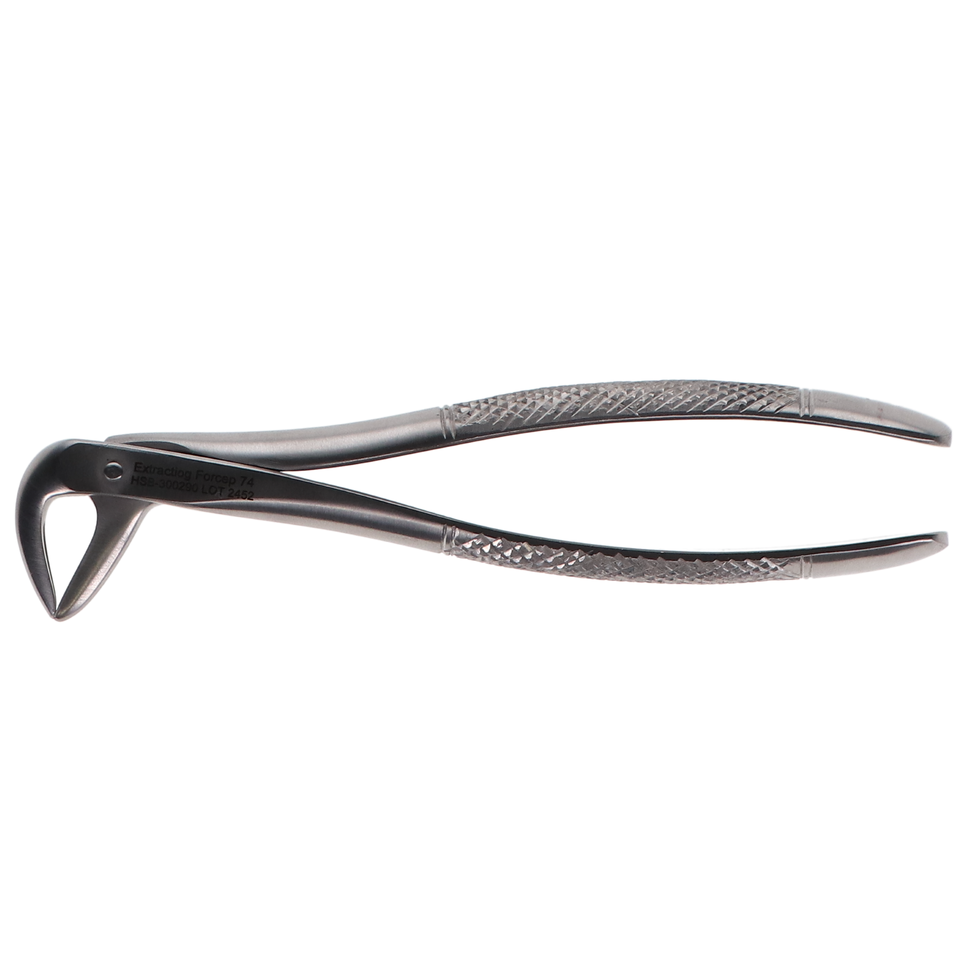 Extracting Forcep #74 English, 300290 product image