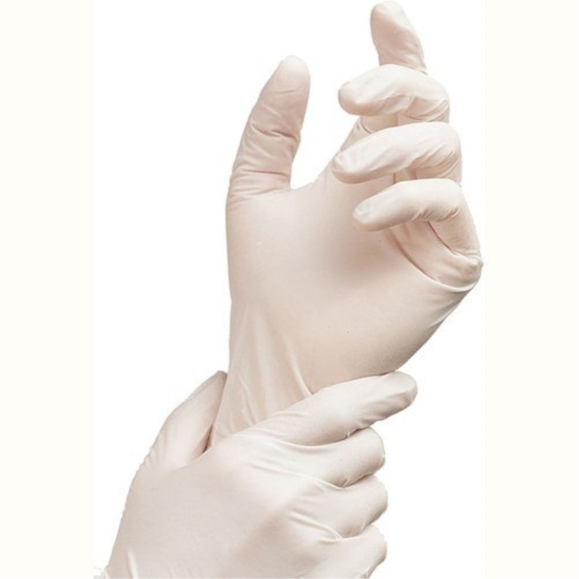 Clear, Vinyl Exam Gloves, 150/Box, X-Small, PM6-5005 thumbnail 5