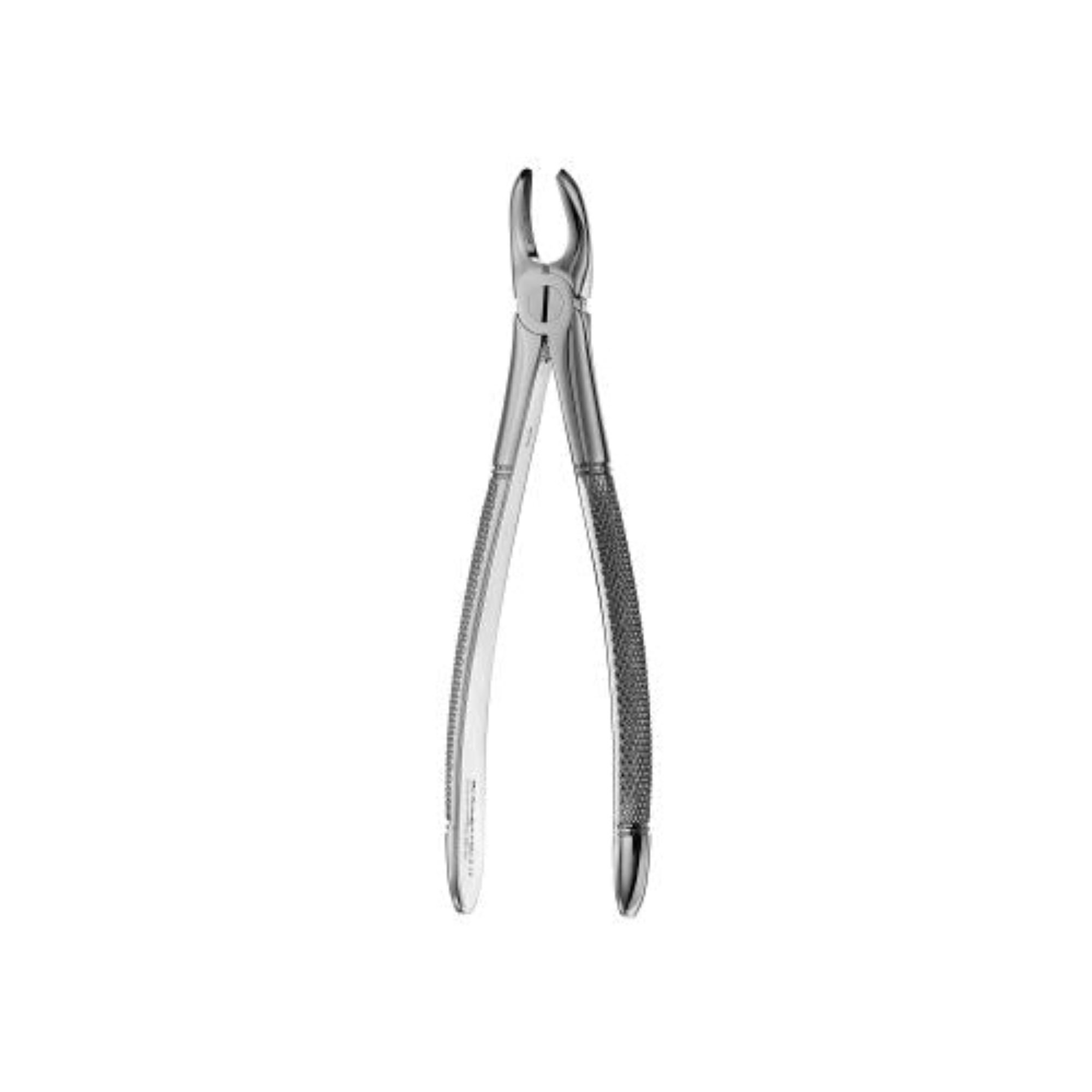 MD3 Mead Forceps, Serrated, FMD2 product image