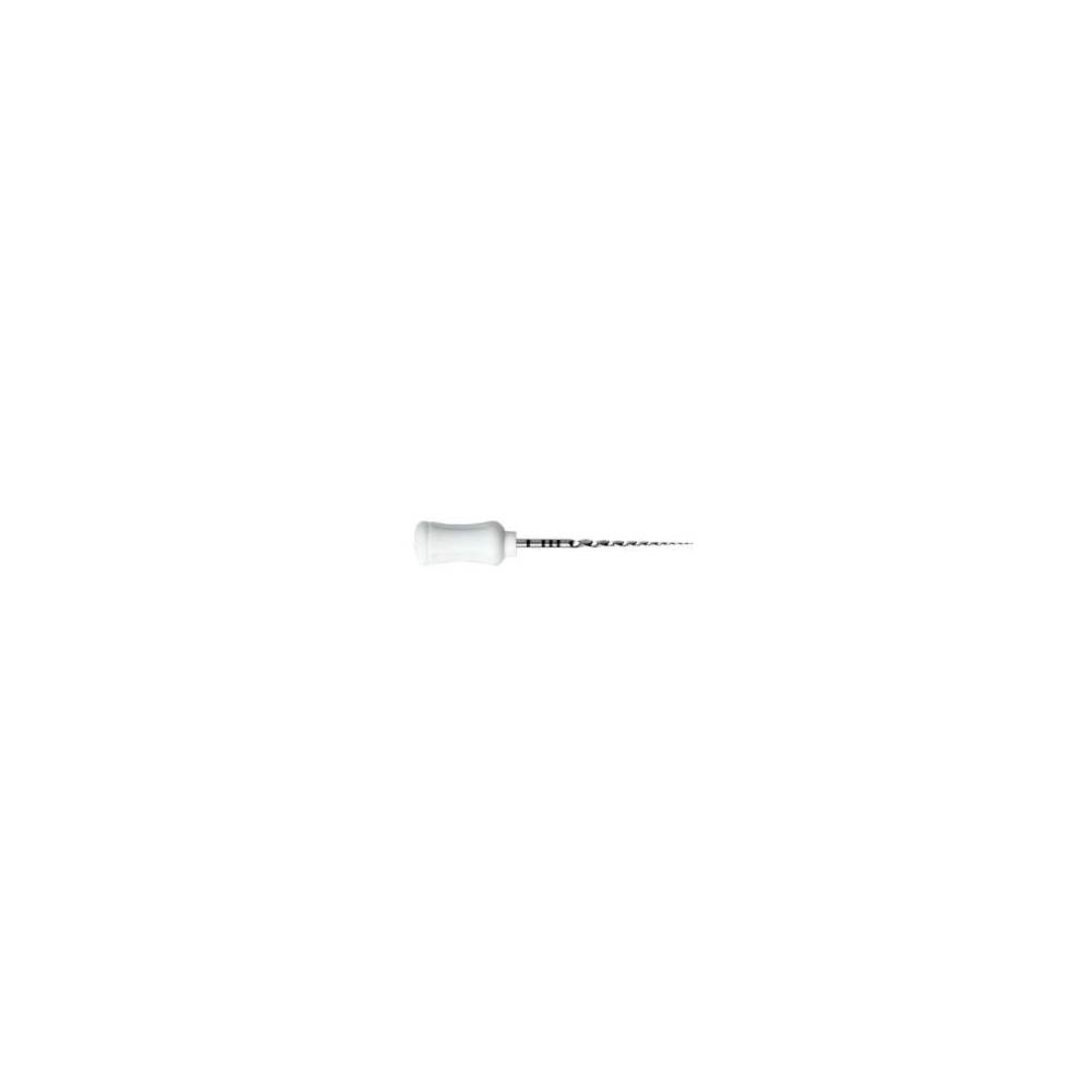 Dentsply - ProTaper Hand Use S2 21mm 6/Pk (USA Code PTUHS221) product image