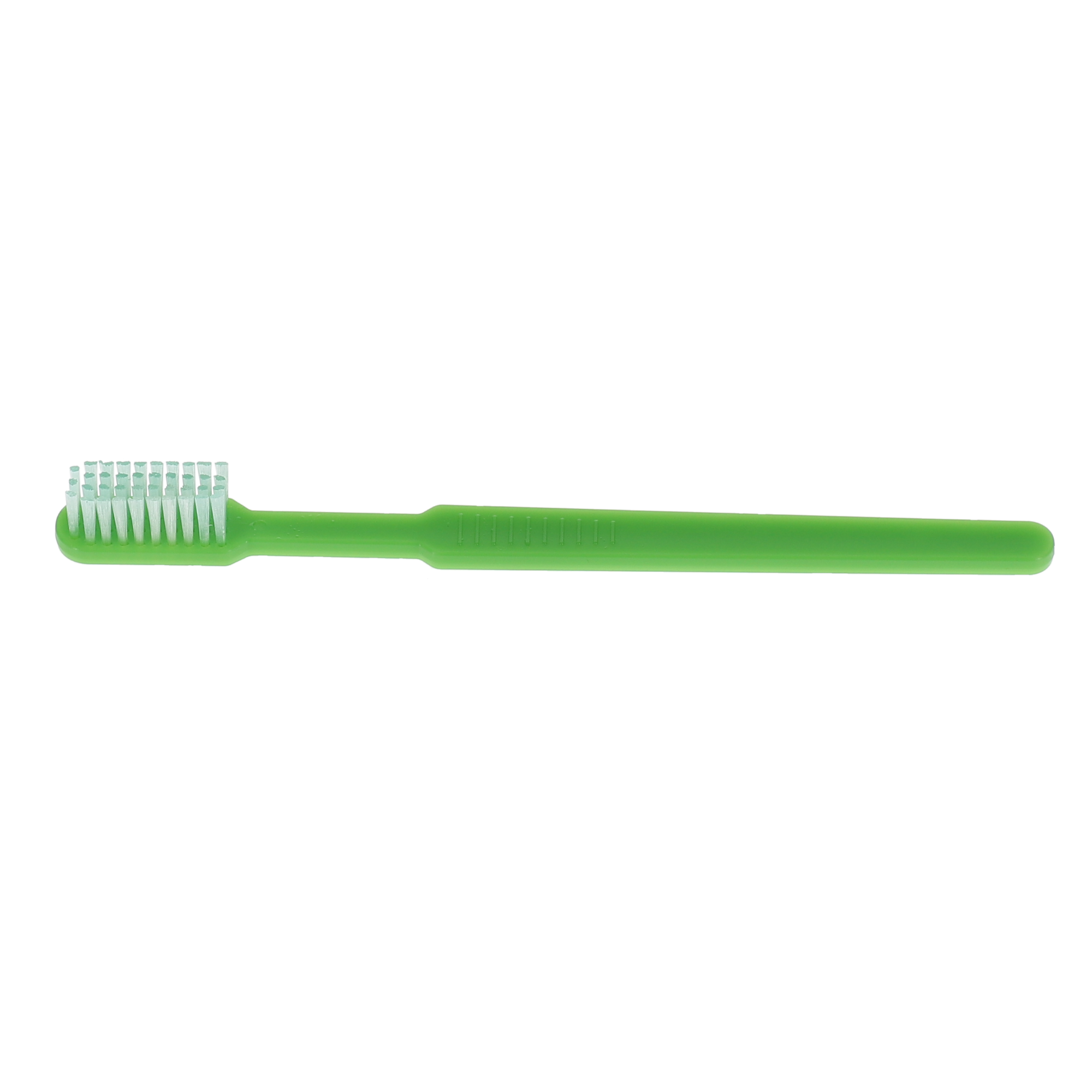 HSB - Toothbrush, Disposable, w/Paste, Individually Cello Wrapped, (72/Pk) product image