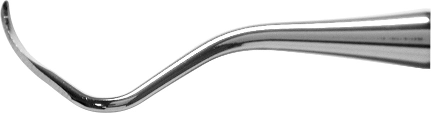 Double Gracey Curette, XPX, Anterior, EagleLite, Resin, 3/8", Purple, 1/Pk, AEDGAXPX product image