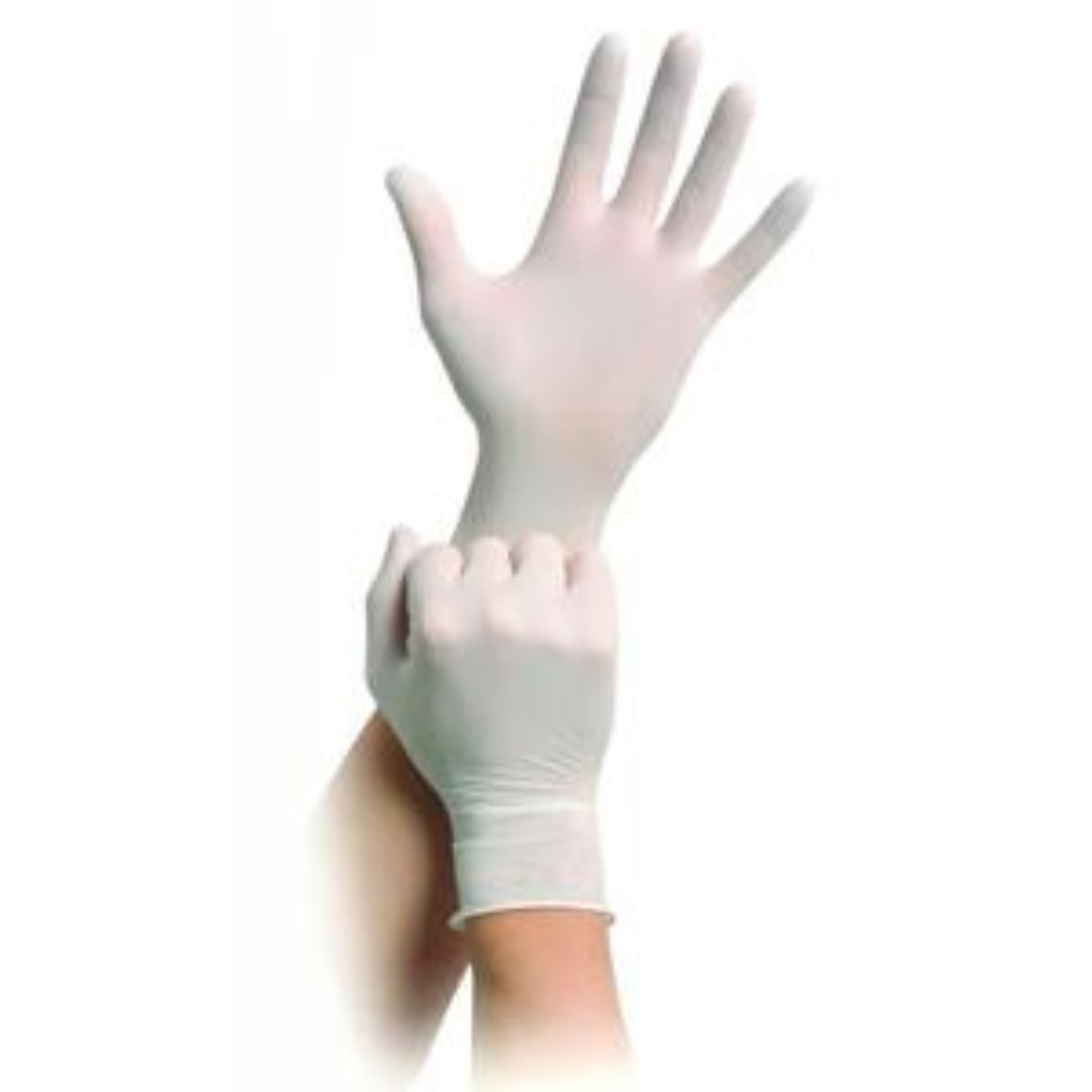 DASHÂ® Vinyl PF Gloves M 100/Bx product image